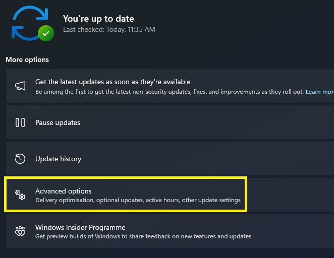 advanced options update windows 11